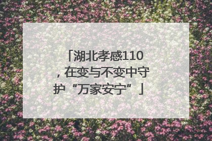 湖北孝感110，在变与不变中守护“万家安宁”