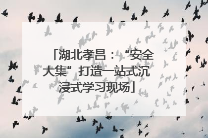 湖北孝昌：“安全大集”打造一站式沉浸式学习现场