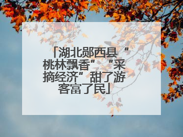 湖北郧西县“桃林飘香”“采摘经济”甜了游客富了民