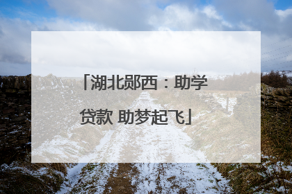 湖北郧西：助学贷款 助梦起飞
