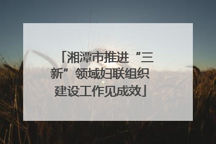 湘潭市推进“三新”领域妇联组织建设工作见成效