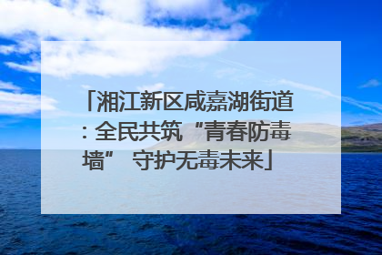 湘江新区咸嘉湖街道：全民共筑“青春防毒墙” 守护无毒未来