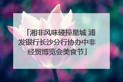 湘非风味碰撞星城 浦发银行长沙分行协办中非经贸博览会美食节