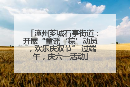 漳州芗城石亭街道：开展“童谣‘粽’动员，欢乐庆双节” 过端午，庆六一活动