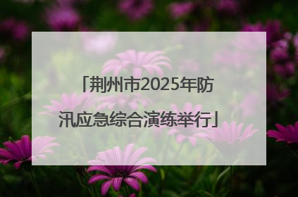 荆州市2025年防汛应急综合演练举行