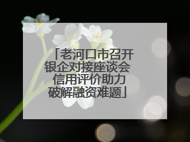 老河口市召开银企对接座谈会 信用评价助力破解融资难题