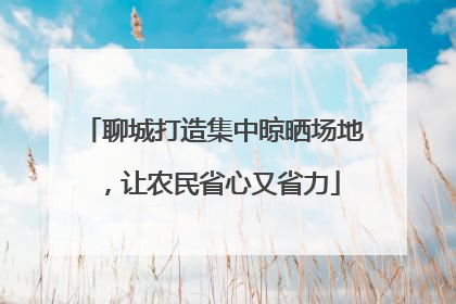 聊城打造集中晾晒场地，让农民省心又省力
