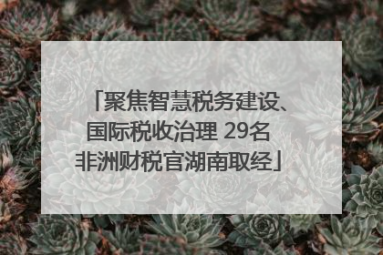 聚焦智慧税务建设、国际税收治理 29名非洲财税官湖南取经