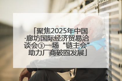 聚焦2025年中国·廊坊国际经济贸易洽谈会③一场“链主会” 助力厂商破圈发展