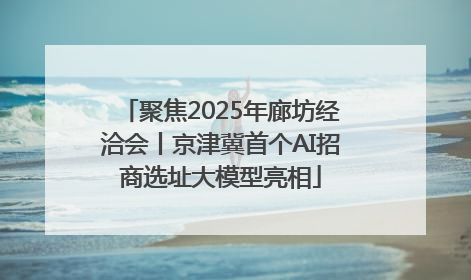 聚焦2025年廊坊经洽会丨京津冀首个AI招商选址大模型亮相