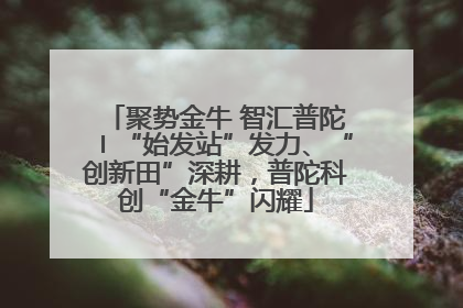 聚势金牛 智汇普陀〡“始发站”发力、“创新田”深耕，普陀科创“金牛”闪耀