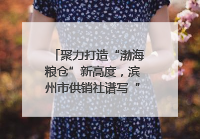 聚力打造“渤海粮仓”新高度，滨州市供销社谱写“三夏”丰收乐章