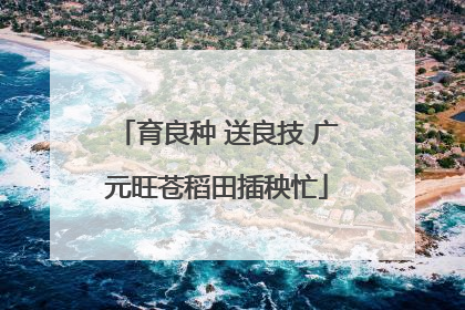 育良种 送良技 广元旺苍稻田插秧忙