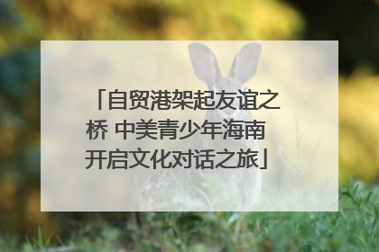 自贸港架起友谊之桥 中美青少年海南开启文化对话之旅