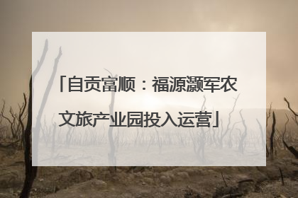 自贡富顺：福源灏军农文旅产业园投入运营