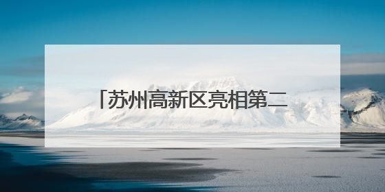 苏州高新区亮相第二十一届深圳文博会
