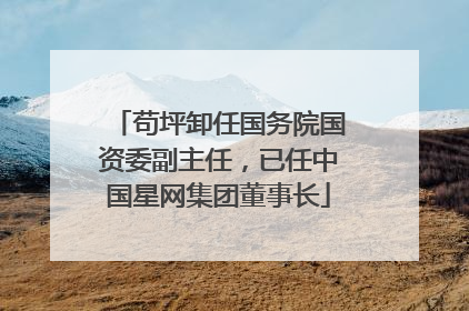 苟坪卸任国务院国资委副主任，已任中国星网集团董事长