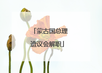 蒙古国总理遭议会解职