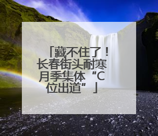 藏不住了！长春街头耐寒月季集体“C位出道”