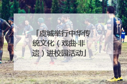 虞城举行中华传统文化（戏曲·非遗）进校园活动