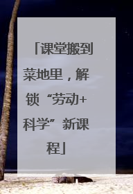 课堂搬到菜地里，解锁“劳动+科学”新课程