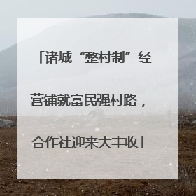 诸城“整村制”经营铺就富民强村路，合作社迎来大丰收