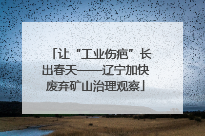让“工业伤疤”长出春天——辽宁加快废弃矿山治理观察