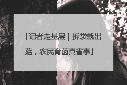 记者走基层｜拆袋就出菇，农民育菌真省事