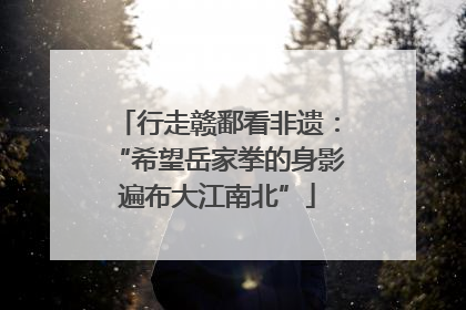 行走赣鄱看非遗：“希望岳家拳的身影遍布大江南北”