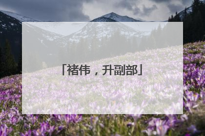 褚伟，升副部