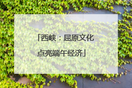 西峡：屈原文化点亮端午经济