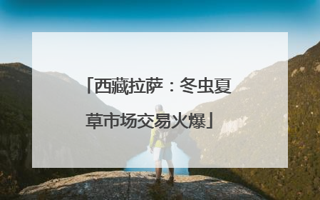 西藏拉萨：冬虫夏草市场交易火爆