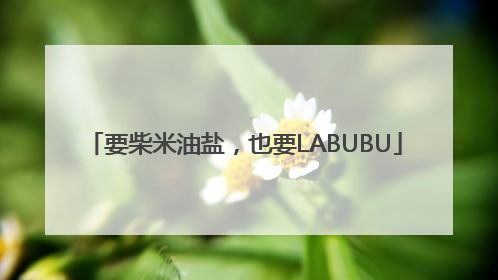 要柴米油盐，也要LABUBU