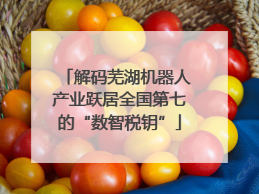 解码芜湖机器人产业跃居全国第七的“数智税钥”