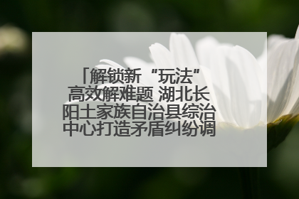 解锁新“玩法” 高效解难题 湖北长阳土家族自治县综治中心打造矛盾纠纷调处“终点站”