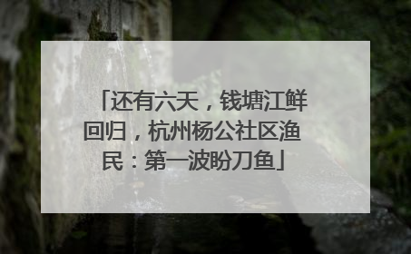 还有六天，钱塘江鲜回归，杭州杨公社区渔民：第一波盼刀鱼