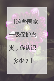 这些国家一级保护鸟类，你认识多少？