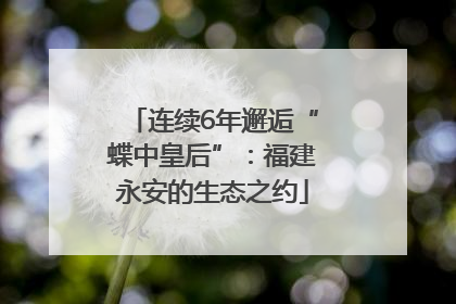 连续6年邂逅“蝶中皇后”：福建永安的生态之约