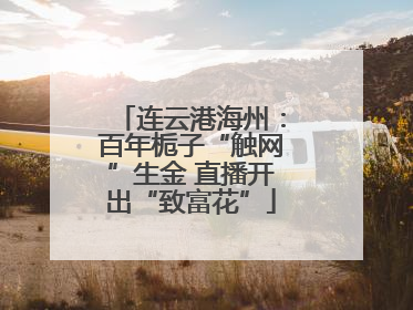 连云港海州：百年栀子“触网”生金 直播开出“致富花”