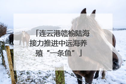 连云港赣榆陆海接力推进中远海养殖“一条鱼”