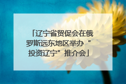 辽宁省贸促会在俄罗斯远东地区举办“投资辽宁”推介会