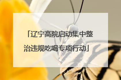 辽宁高院启动集中整治违规吃喝专项行动