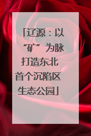 辽源：以“矿”为脉 打造东北首个沉陷区生态公园