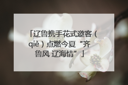 辽鲁携手花式邀客（qiě）点燃今夏“齐鲁风 辽海情”