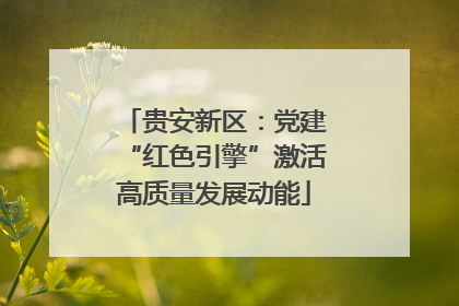 贵安新区：党建“红色引擎”激活高质量发展动能