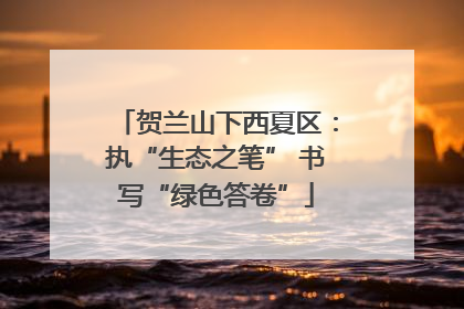 贺兰山下西夏区：执“生态之笔” 书写“绿色答卷”