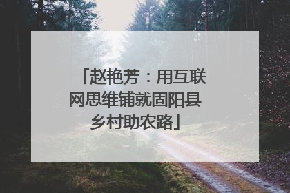 赵艳芳：用互联网思维铺就固阳县乡村助农路