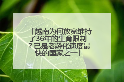 越南为何放宽维持了36年的生育限制？已是老龄化速度最快的国家之一