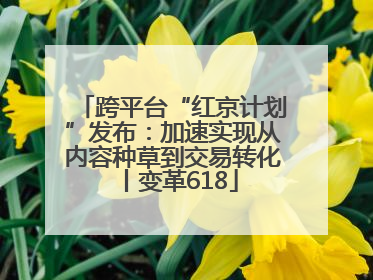 跨平台“红京计划”发布：加速实现从内容种草到交易转化丨变革618