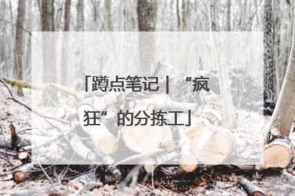蹲点笔记｜“疯狂”的分拣工